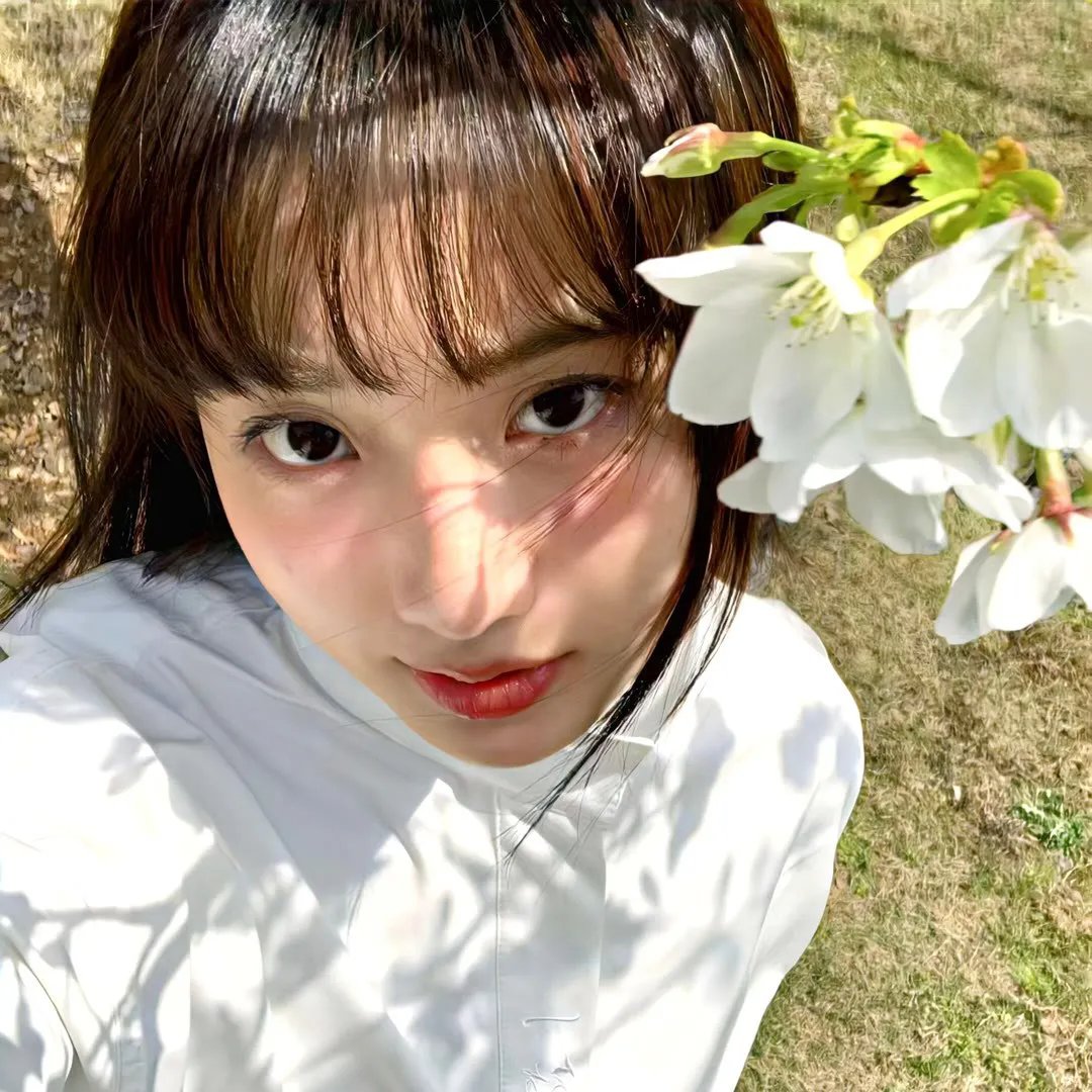 海伦夫人的冒险